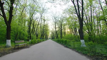 Locul ascuns din România făcător de minuni. Multe vedete, milionari și politicieni îi trec pragul pentru a întineri