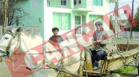 Vila notaritei Ioana Basescu, mobilata In miez de noapte