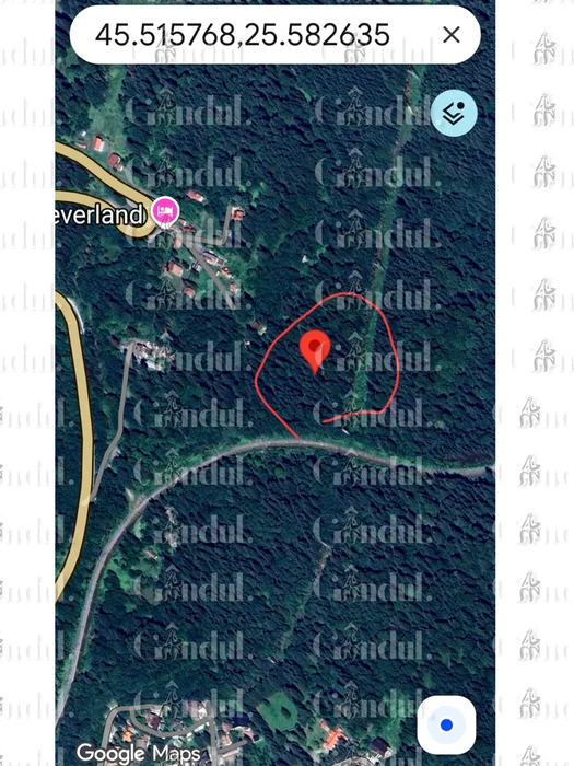 Terenul din Predeal. SURSA FOTO: Gândul.ro
