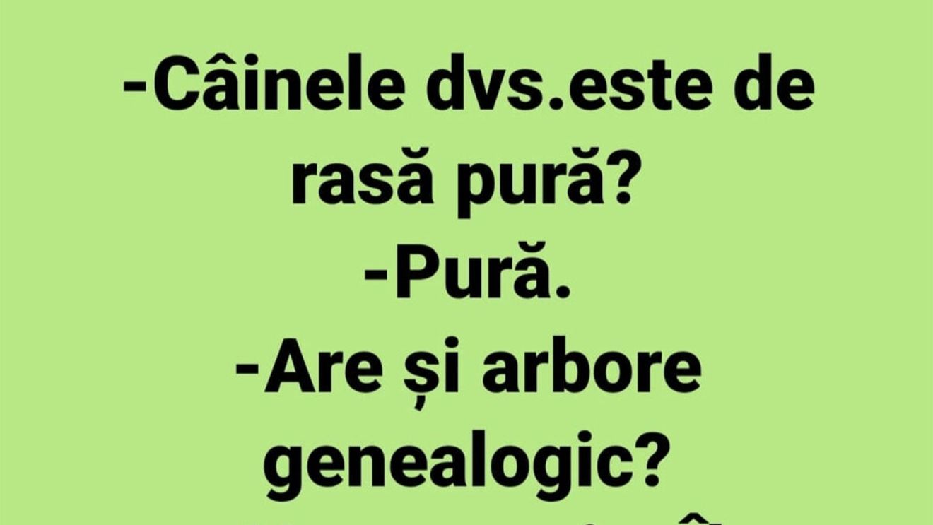 BANCUL ZILEI | "Câinele dumneavoastră este de rasă pură?"