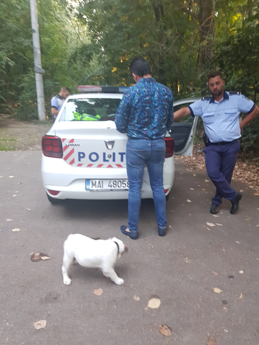 EXCLUSIV. Un cântăreț cunoscut a fost jefuit într-o pădure de la marginea Bucureștiului. Primele declarații: “Am auzit un geam spart, am văzut hoțul…”