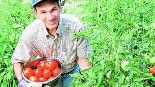 Cum iti poti gasi un job in alta tara