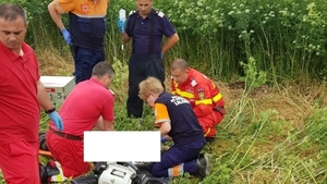 Un cioban și șapte oi au murit după ce au fost loviți de tren!