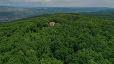 O familie s-a mutat de 19 ani într-o casă în pădure, unde nu se ajunge cu mașina: „Copiilor le era rușine. S-au săturat de tăiat lemne”