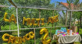 Galerie foto - poza 2