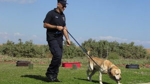Armata germană antrenează câini pentru a detecta persoanele infectate cu coronavirus
