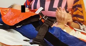 Galerie foto - poza 2