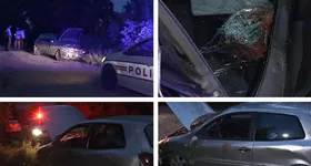 Galerie foto - poza 3