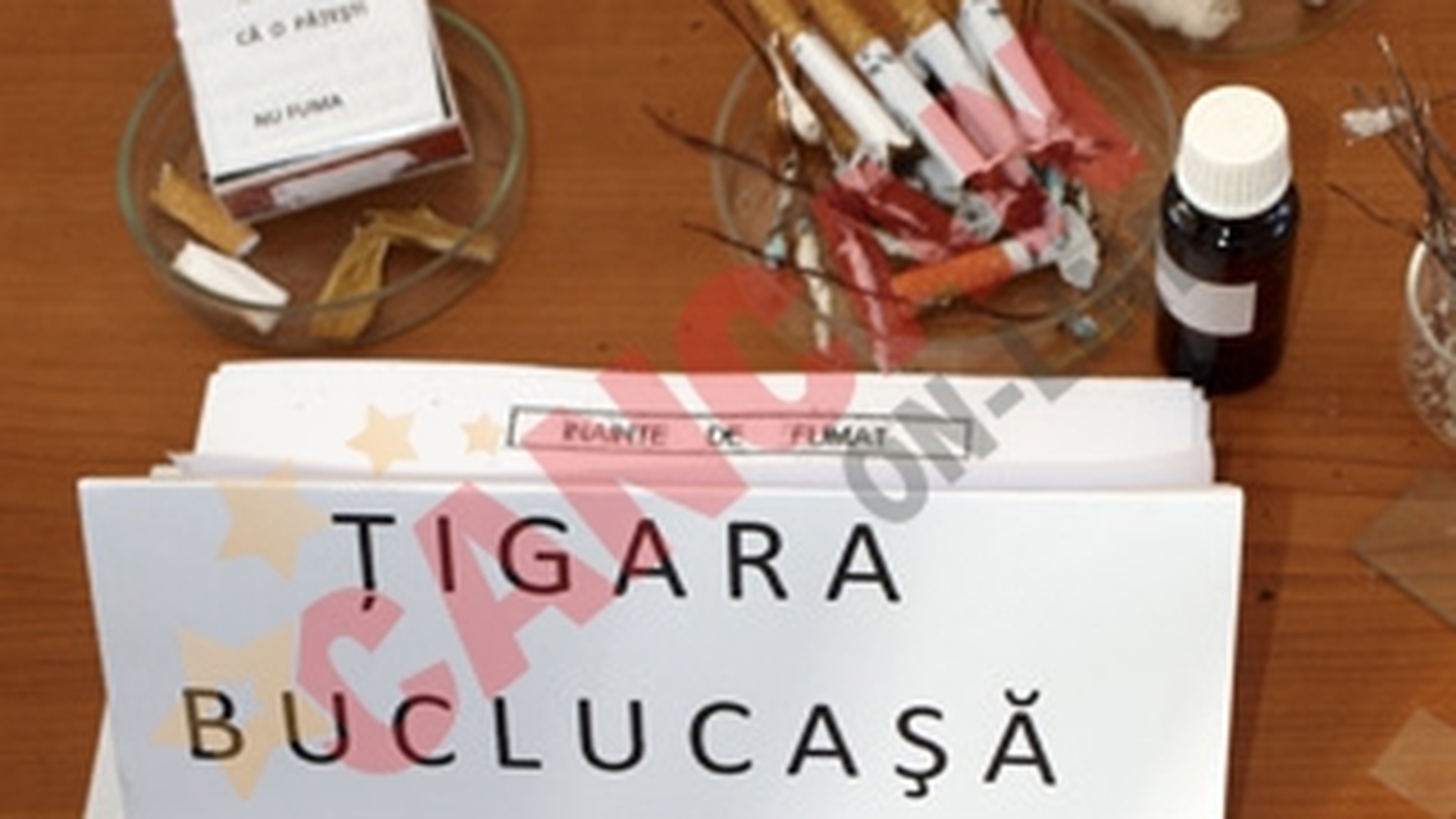 Elevii au lansat "tigara buclucasa", "lamaile-baterii" si casa eco