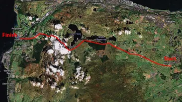 Un catel ratacit a parcurs 20 de kilometri in trei zile ca sa ajunga acasa