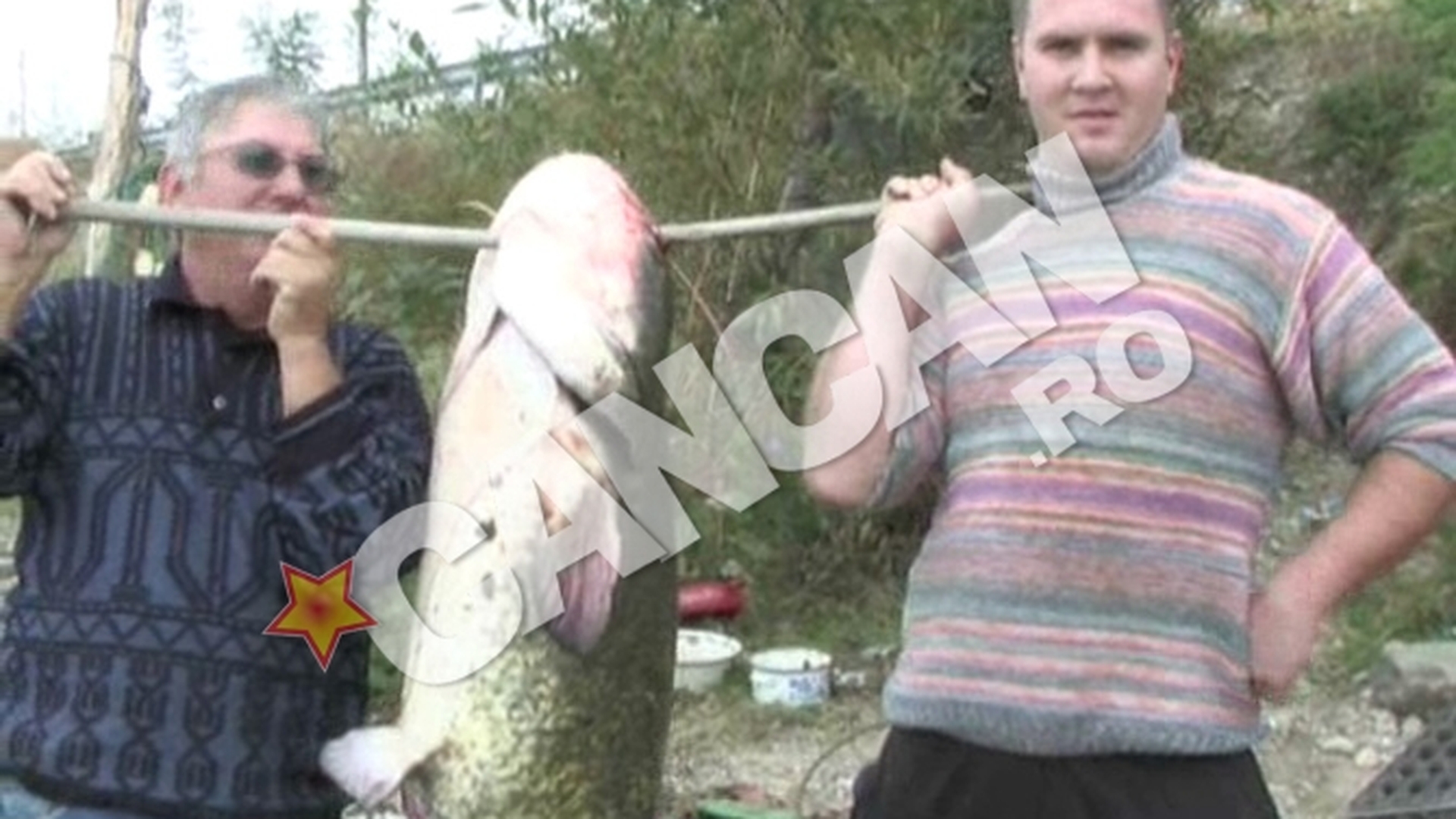 VIDEO Nu e poveste pescareasca! Doi barbati au prins un somn de peste 50 de kilograme! Vezi cum arata "Monstrul din Dunare"!