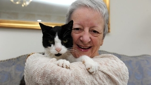 Pisica o atingea in mod constant pe umarul drept, dar o ignora mereu! La cateva zile distanta, femeia a avut un soc. Ce vazuse animalul sub pielea ei
