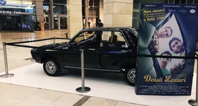 Galerie foto - poza 2