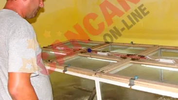 A investit banii de masina in vipere cu corn