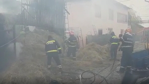 Incendiu violent la un adăpost de animale din Argeș. Zeci de porci au fost carbonizați