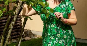 Galerie foto - poza 2