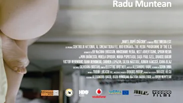 Marti, dupa Craciun premiat in SUA