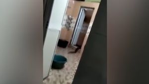 S-au trezit în casă cu un monstru! Oamenii au pus rapid mâna pe telefon şi au filmat, iar imaginile înfricoşătoare au devenit rapid virale