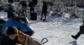 Galerie foto - poza 3