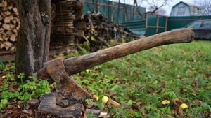 Românii care stau la curte riscă amenzi usturătoare! Ce nu au voie, de fapt, să facă în grădină
