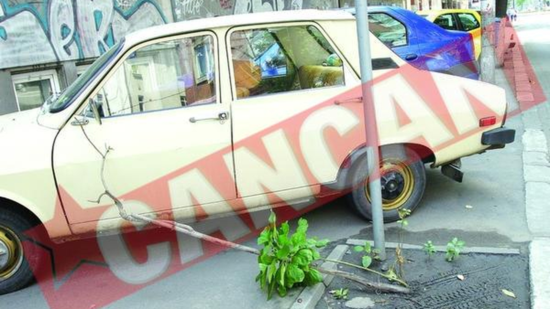 Videanu vede 41 milioane de metri patrati de spatii verzi in Bucuresti