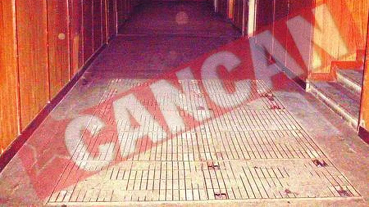 Cimitirul de sub liceu