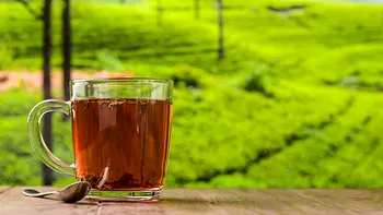 Ceaiul care prelungește viața și reduce riscul de deces prematur. Este printre cele mai bogate în antioxidanți
