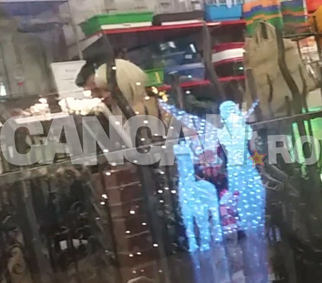 Raluca Bădulescu, la shopping cu soţul