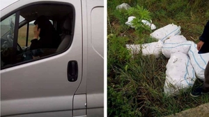 VIDEO. Călugăriță din Prahova, filmată când abandona mai mulți câini pe un câmp