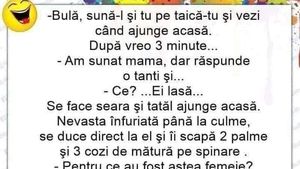 BANC | "Bulă, sună-l și tu pe taică-tu și vezi când ajunge acasă!" "Am sunat, mama, dar răspunde o tanti"