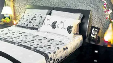 O noua fita pe piata imobiliara! Prima camera antisforait se testeaza la Paris!