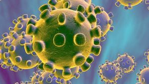 Coronavirus pe alimente? OMS vine cu lămuriri