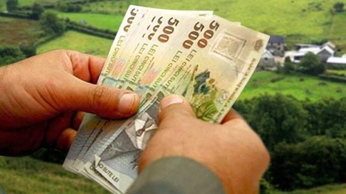 Autoritățile au făcut anunțul! Sprijin financiar de 1000 de euro pentru românii care fac asta