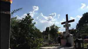 Au ieșit noi detalii cutremurătoare după ce profesoara din Arad moartă de Covid-19 a fost deshumată. Ce au descoperit anchetatorii