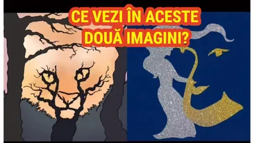 Iluzia optică înnebunitoare care îţi spune dacă eşti deschis la minte sau nu. Ce ţi-a apărut prima dată în minte când te-ai uitat la această poză?