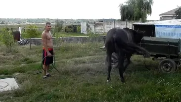 Face ce face si ajunge in centrul atentiei! Afla ce face tatal “micului Hercule”, Iulian Stroe, cand nu isi antreneaza copiii!