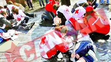 Cutremur de 7,1 grade la Liceul Nicolae Iorga