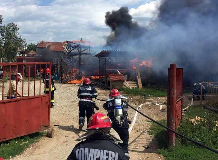 Cuşca animalului se afla chiar lângă magazia unde explodau buteliile
