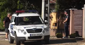 Galerie foto - poza 4