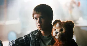 Galerie foto - poza 2