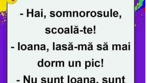 Bancul de weekend | "Hai, somnorosule, scoală-te!"