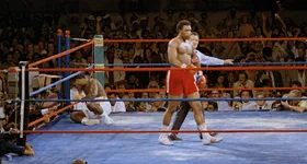 Galerie foto - poza 2