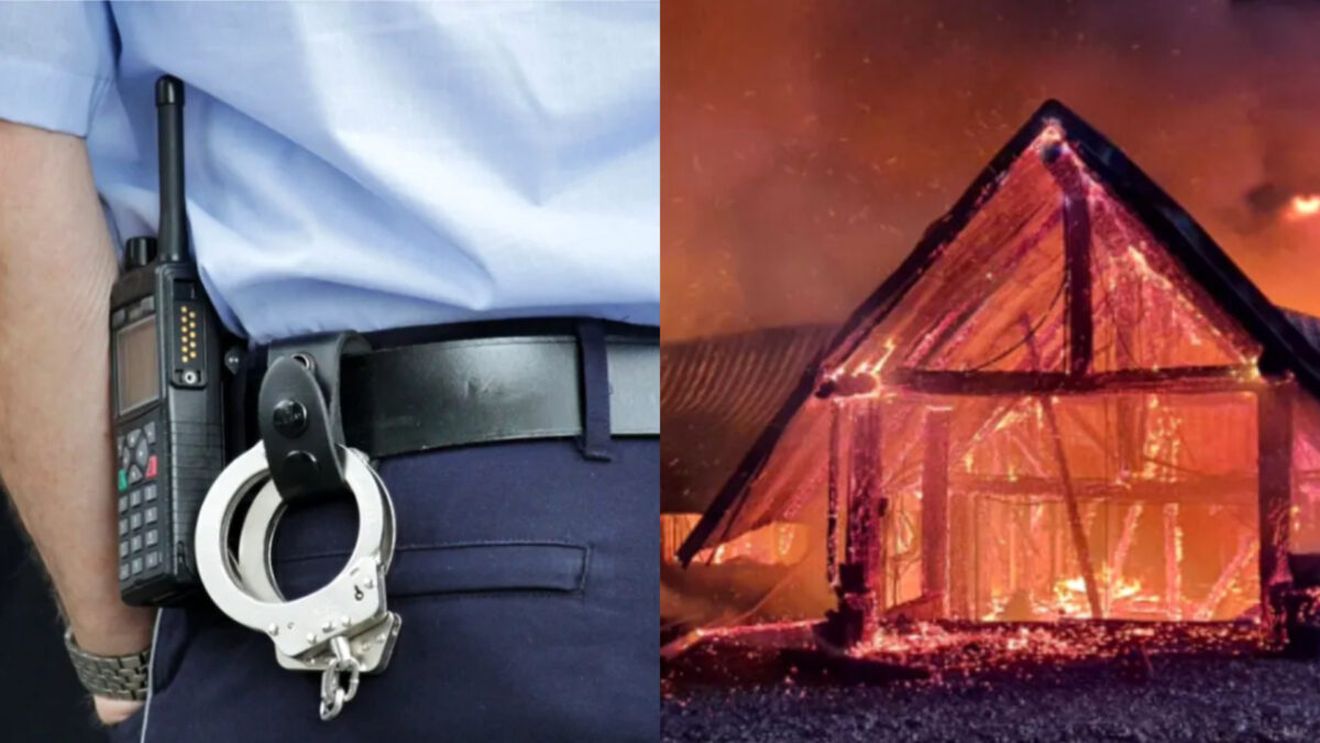 Persoane cu funcții importante au fost reținute în dosarul Ferma Dacilor. Ce au dispus autoritățile