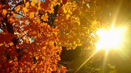 METEO 27 octombrie, Se raceste vremea! vezi cat de mult va cobori mercurul din termometre!