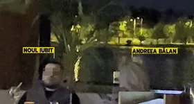 Galerie foto - poza 2