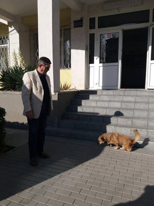 Este invazie de șobolani într-un cartier din Craiova. Directorul unui liceu a adus un câine să prindă rozătoarele