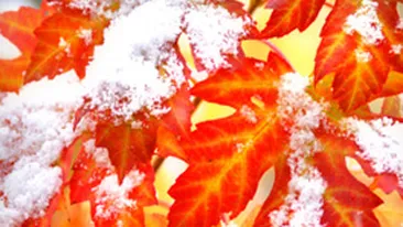 Gata cu vara indiana! Temperaturile scad cu 12 grade si vin ninsorile! Vezi cand trebuie sa scoti paltonul din dulap!