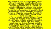 BANC | Într-un restaurant de lux din Coasta de Azur intră un bărbat nefericit, de mână cu o femeie superbă