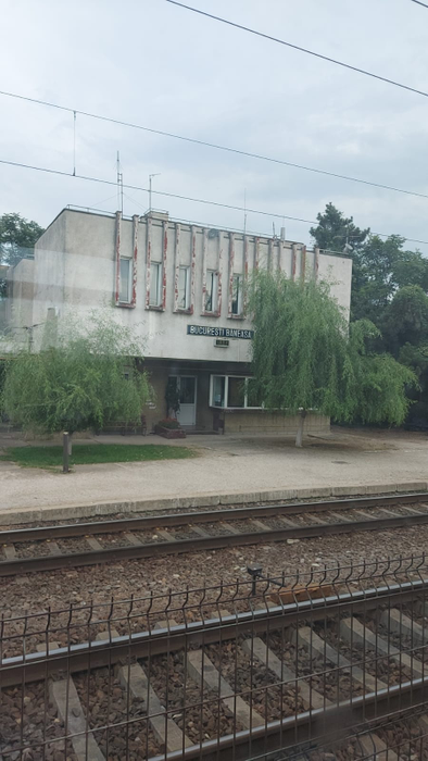 Călătorie de coșmar pentru sute de oameni! Ce s-a întâmplat cu trenul cu care s-au întors din vacanța petrecută la mare | VIDEO