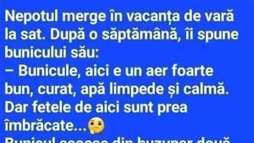 Bancul de weekend | Nepotul merge în vacanța de vară la sat